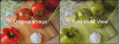 Image displaying a photo of tomatoes and garlic cloves on a cutting board on the left, while on the right is a view showing the image as it would appear to a red-blind viewer.