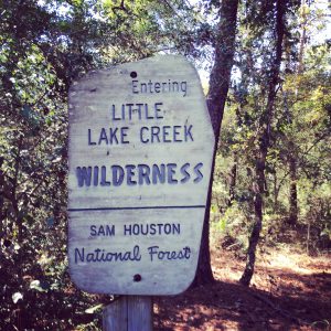 Wooden sign for Little Lake Creek Wilderness