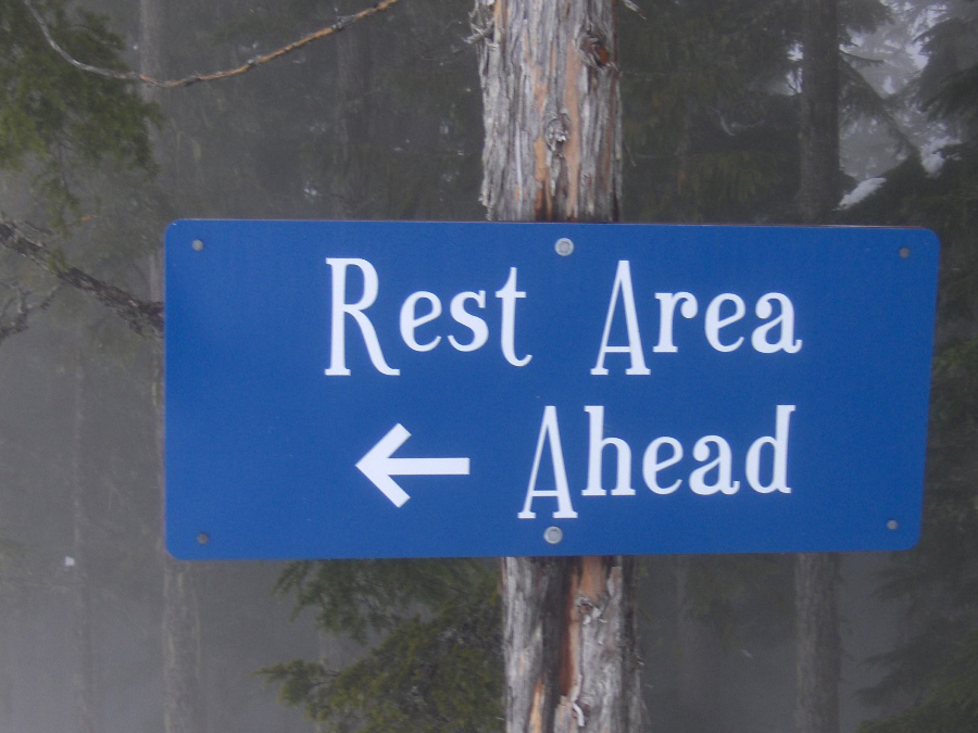 Blue sign nailed to a tree that states Rest Area Ahead with arrow pointing left.