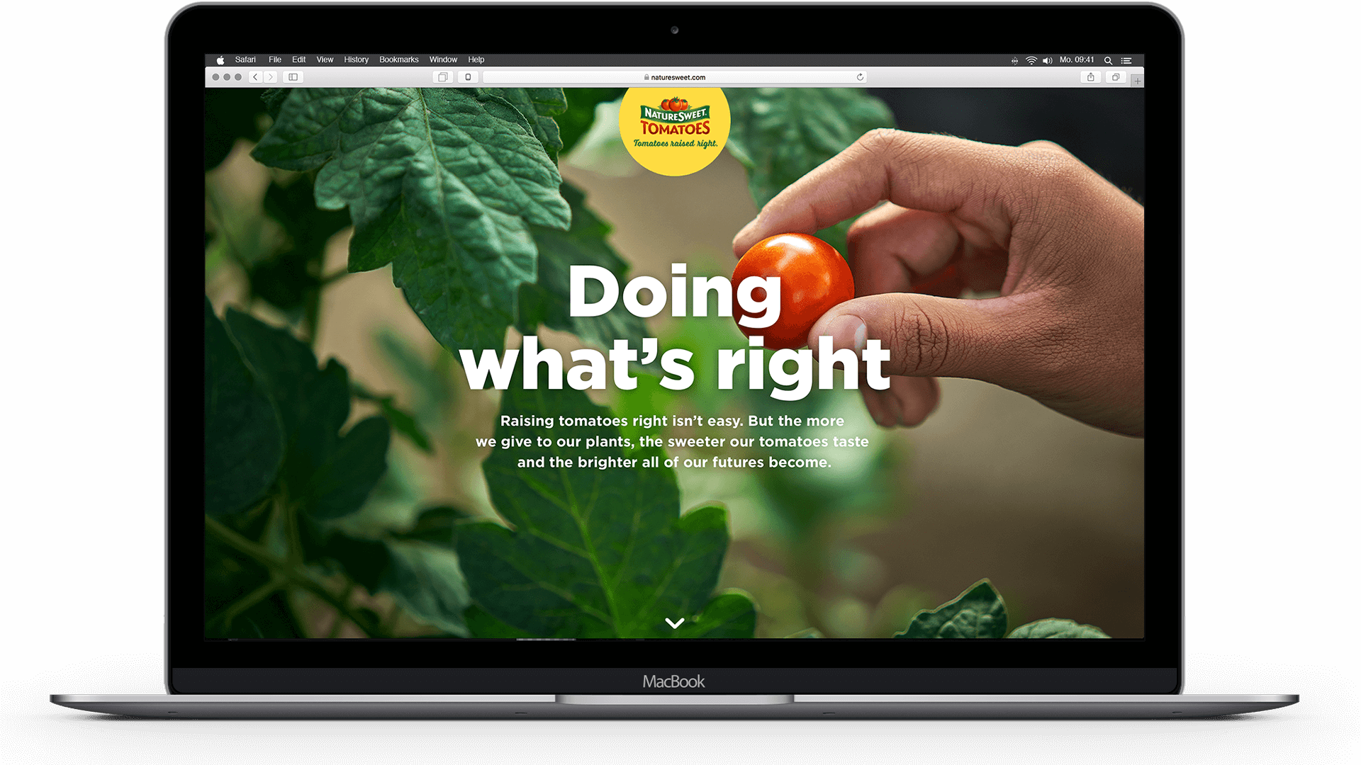 NatureSweet Tomatoes website on laptop screen