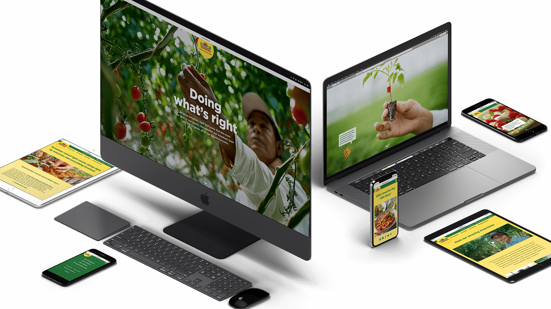 NatureSweet Tomatoes website on desktop and mobile screens